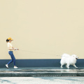 Xiaomi MOESTAR 2.6m Retractable Dog Leash